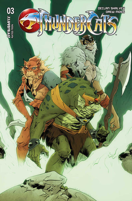 Thundercats #3 Cover D Lee & Chung