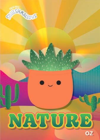 2025 Panini Squishmallows Hobby Mega Box