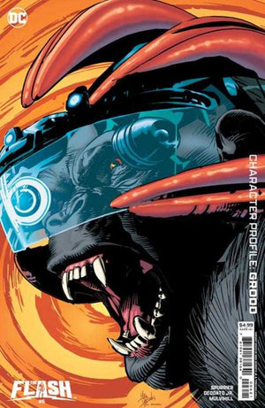 Descriptive image text